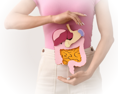 Supports Digestion & Metabolism